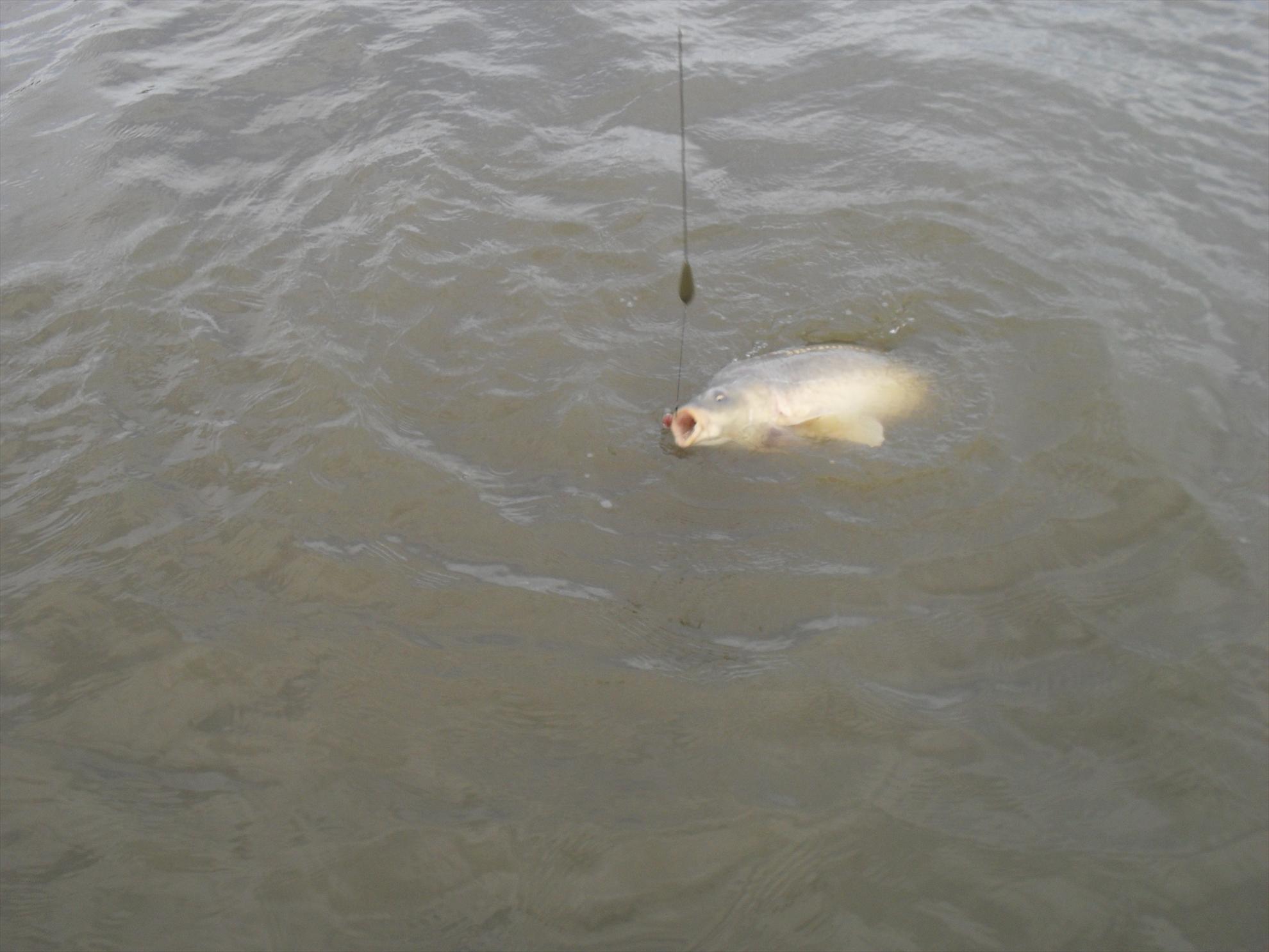 Magura 9 - sdc11261.JPG